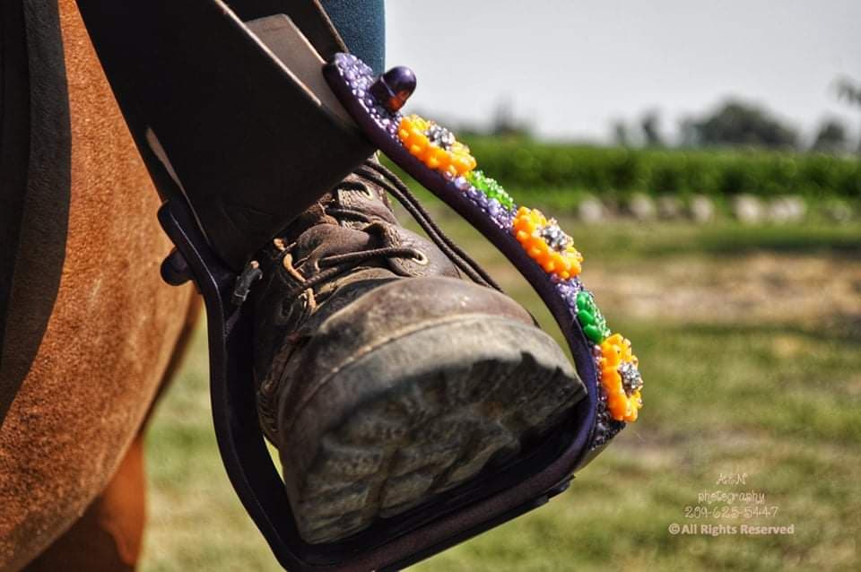 Custom Bling Stirrups