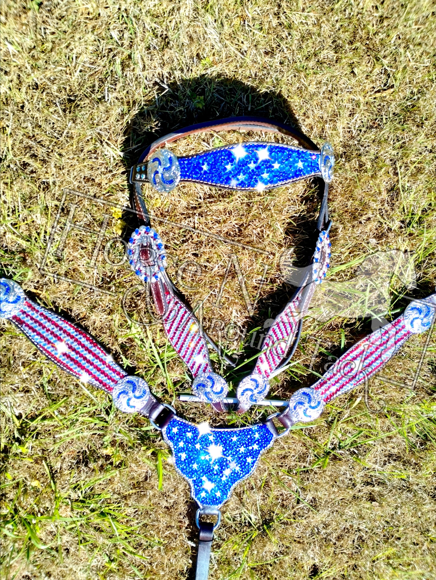 Custom Bling patriotic headstall set